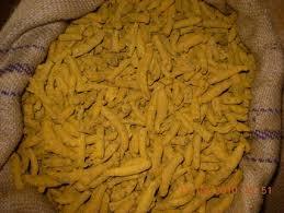 Duggirala Turmeric Finger