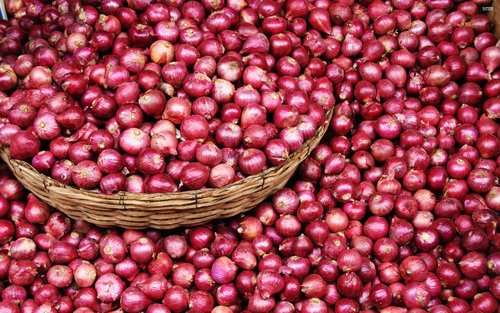 Red Onion By Anna Corporation