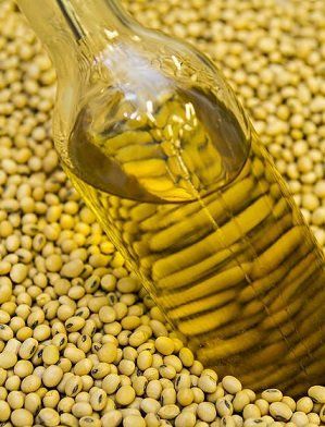 Soybean Oil