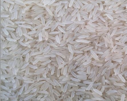 Green India Katarni Rice