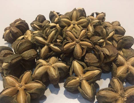 Roasted Sacha Inchi Nuts