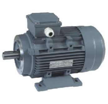 Electric Ac Induction Motor