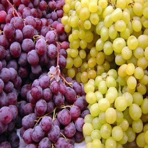 Grade A Fresh Grapes