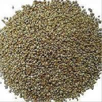 Pu Bajra Seeds