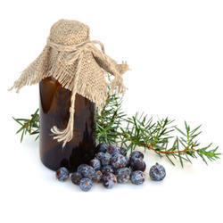 Juniper Berry Oil