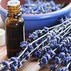 Lavender Oil