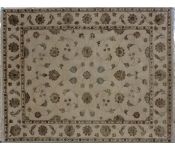 Rajvilas Collection Carpet