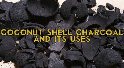 Coconut Shell Charcoal