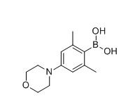 (2,6-dimethyl-4-morpholinophenyl)boronic acid