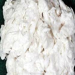 High Quality Cotton Comber Noil