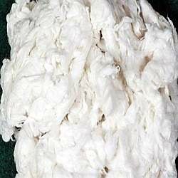 cotton comber noil