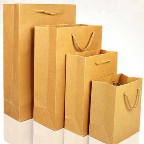 Kraft Paper Bag - Various Sizes, Biodegradable Brown Paper, Custom Printing Options, Multiple Handle Types