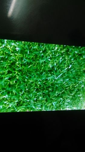 Artificial Grass