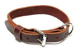 Pure Leather Puppy Collar