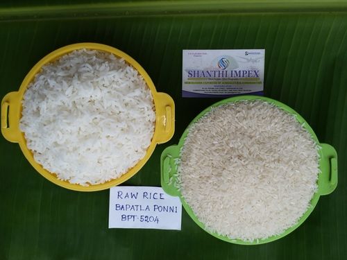Samba Masoori Raw Rice