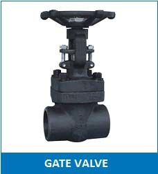 Forged Steel Gate Valve