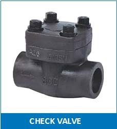 Forged Steel Swing Check Valve