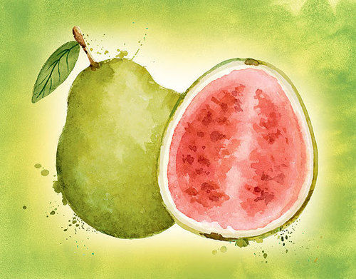 Guava Juice - Refreshingly Natural Flavor Experience | Innovative Taste with Authentic Aroma and Health Benefits