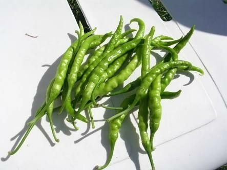 Fresh Green Chilli