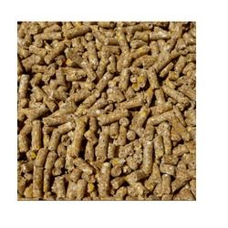 Best Quality Cattle Feed Efficacy: Promote Healthy