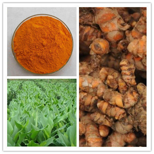 Natural Antioxidant/Natural Pigment Curcumin