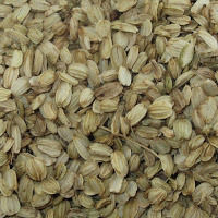 Angelica Herbal Seed