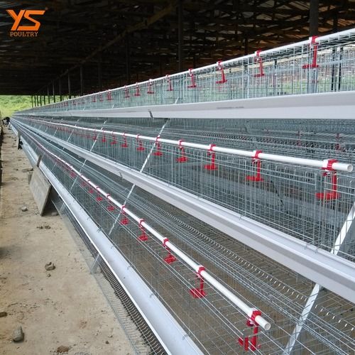 Poultry Chicken Farm Cage