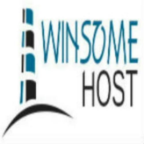Website Designing And Development Services By Winsome IT Solutions Private Limited