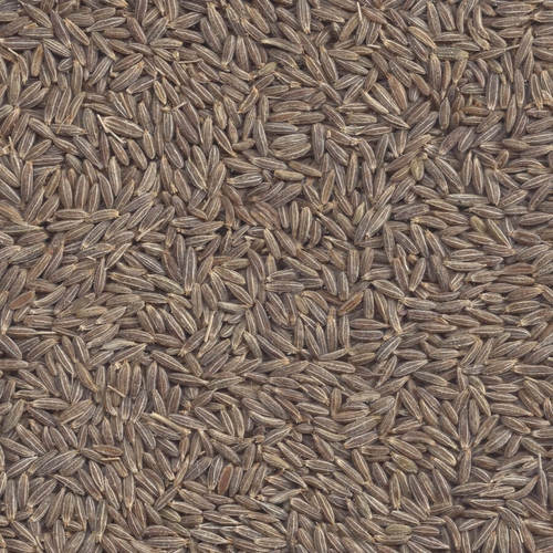 Cumin Seeds (Jeera)