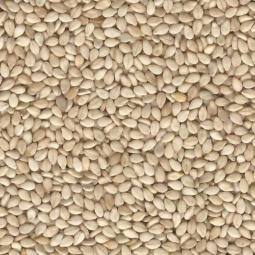 Natural Sesame Seeds (Til)