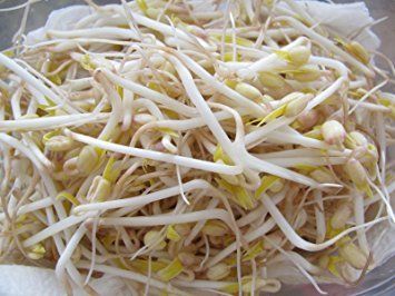 bean sprouts protein