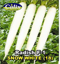 Radish Snow White 18 Seed