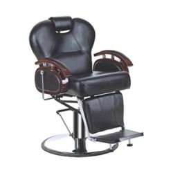 Salon Chairs