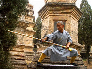 Shaolin Kung Fu Training Service