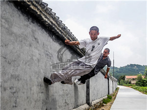 Traditional Chinese Martial Arts And Kung Fu Training Service By Qufu Shaolin Kung Fu School China