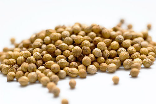 Coriander Seed - Premium Quality, Hygienically Processed for Culinary Excellence, Enhances Flavor in Diverse Dishes