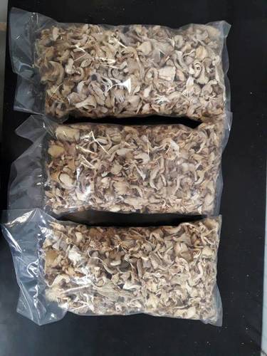 Oyster Mushroom