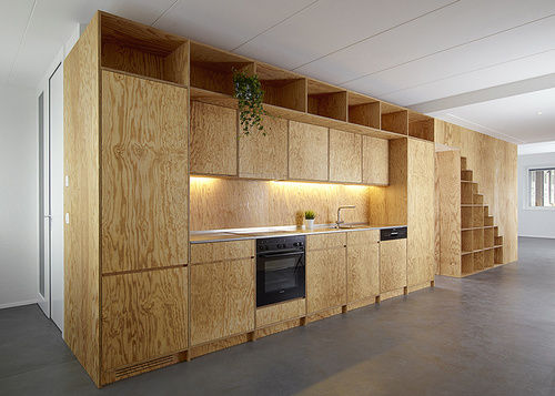 Wooden Modern Modular Kitchen