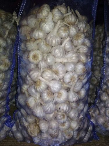 Fresh Dehydrated Garlic