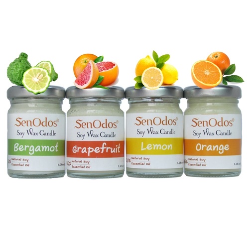 Fruity Delight Set - Soy Candles 45g By GVI Life Care Co., Ltd.