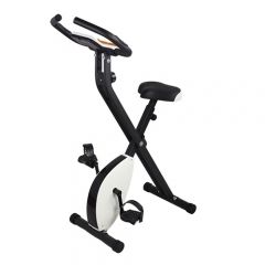 X-Bike Exercise Bike