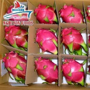 Red Skin Fresh Dragon Fruit (Df1-Ns)