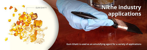 Gum Ghatti