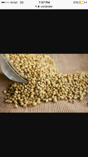 Quality Tested Coriander