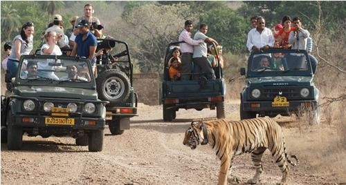 स्टूडेंट टूर पैकेज सर्विसेज