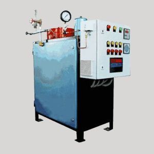 10kg To 35kg Per Hour Output Boiler