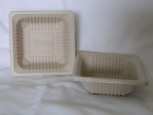 Disposable Biodegradable Bowl