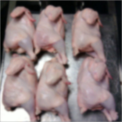 Frozen Chicken Legs - Skinless, Freshly Frozen Quality Cuts, High Protein Content