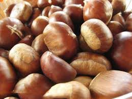 Standard Fresh Chest Nuts