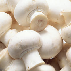 Fresh Mushroom - High Protein, Nutrient-Rich, Natural Fibrous Delicacy for Digestive Health